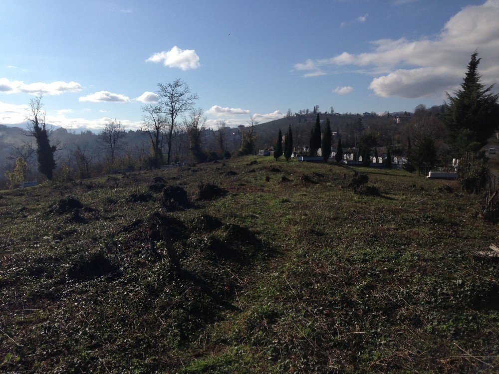 Ordu’da Yeni Mezarlık Alanları Belirlendi