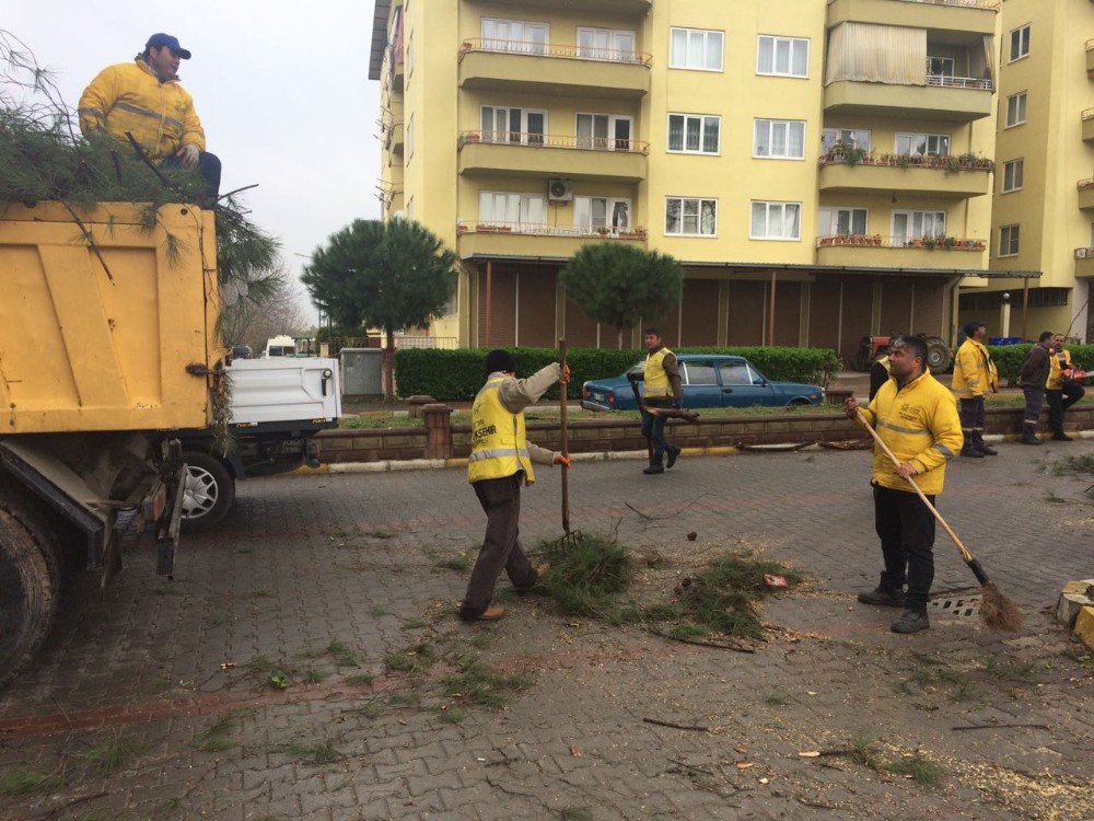 Büyükşehir Belediyesinden Bahar Temizliği