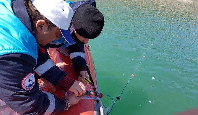 Kemer Barajı’nda Ağa Takılan Sazanlar Tekrar Suya Bırakıldı