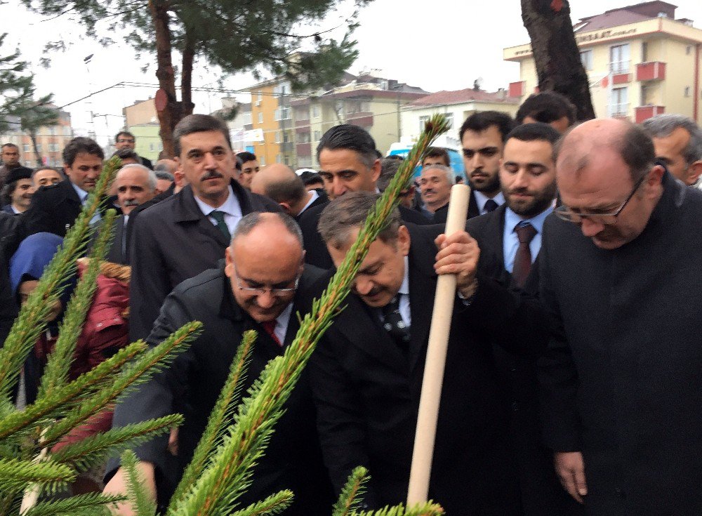 Bakan Eroğlu, Ümraniye’de Fidan Dikti