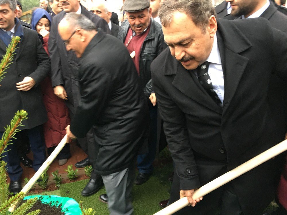 Bakan Eroğlu, Ümraniye’de Fidan Dikti