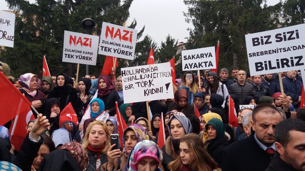 Sakarya’da Stk’lardan Avrupa’ya Tepki Yürüyüşü