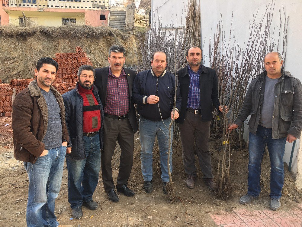 Akdağmadeni’nde Fidan Satışlarına Yoğun İlgi