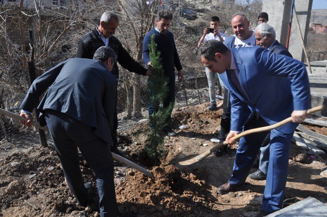 Saklı Köyünde Ağaçlandırma Çalışması