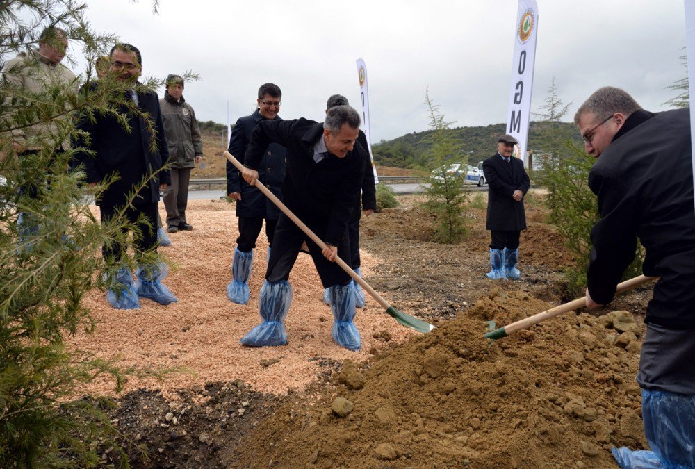 15 Temmuz Şehitler Ormanında Fidan Dikimi