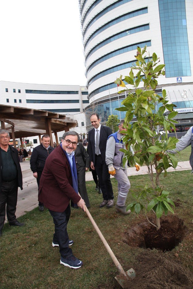 Paü’ye 700 Adet Fidan Bağışlandı