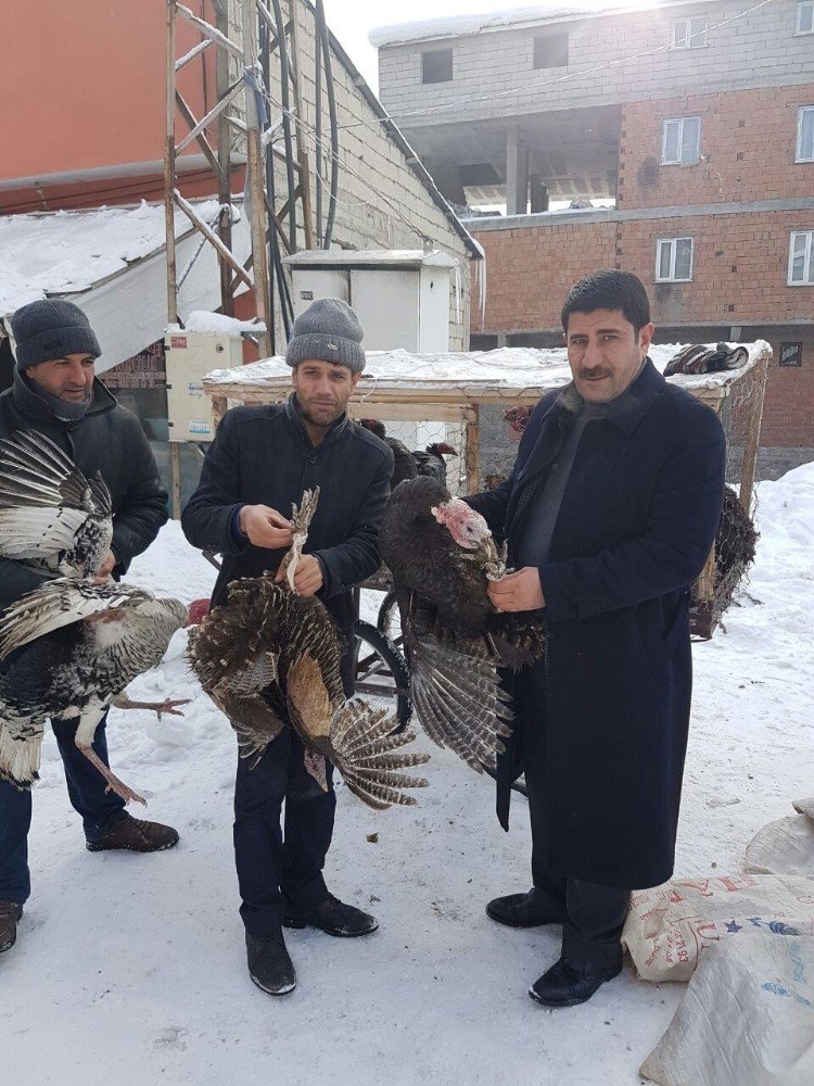 Patnos Ziraat Odası Başkanı Hakverdi, Hayvan Pazarında İncelemede Bulundu