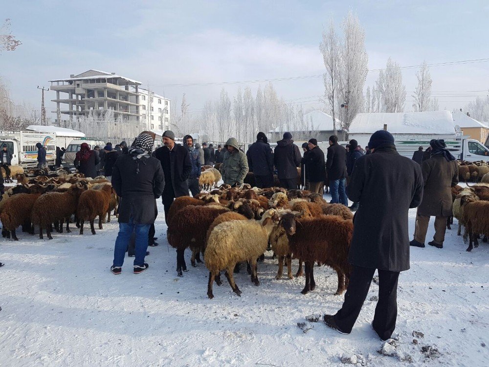 Patnos Ziraat Odası Başkanı Hakverdi, Hayvan Pazarında İncelemede Bulundu