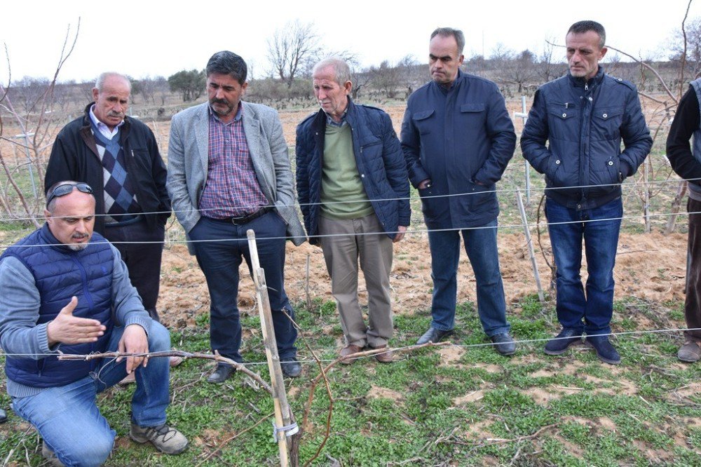 Tekirdağ’da Tarıma Destek Çalışmaları