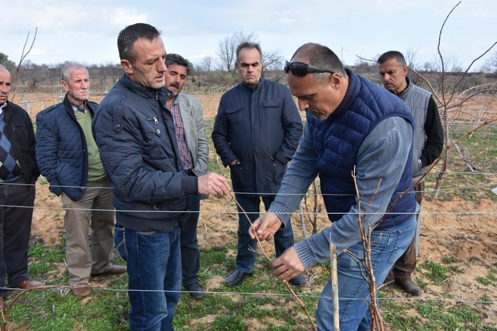 Tekirdağ’da Tarıma Destek Çalışmaları