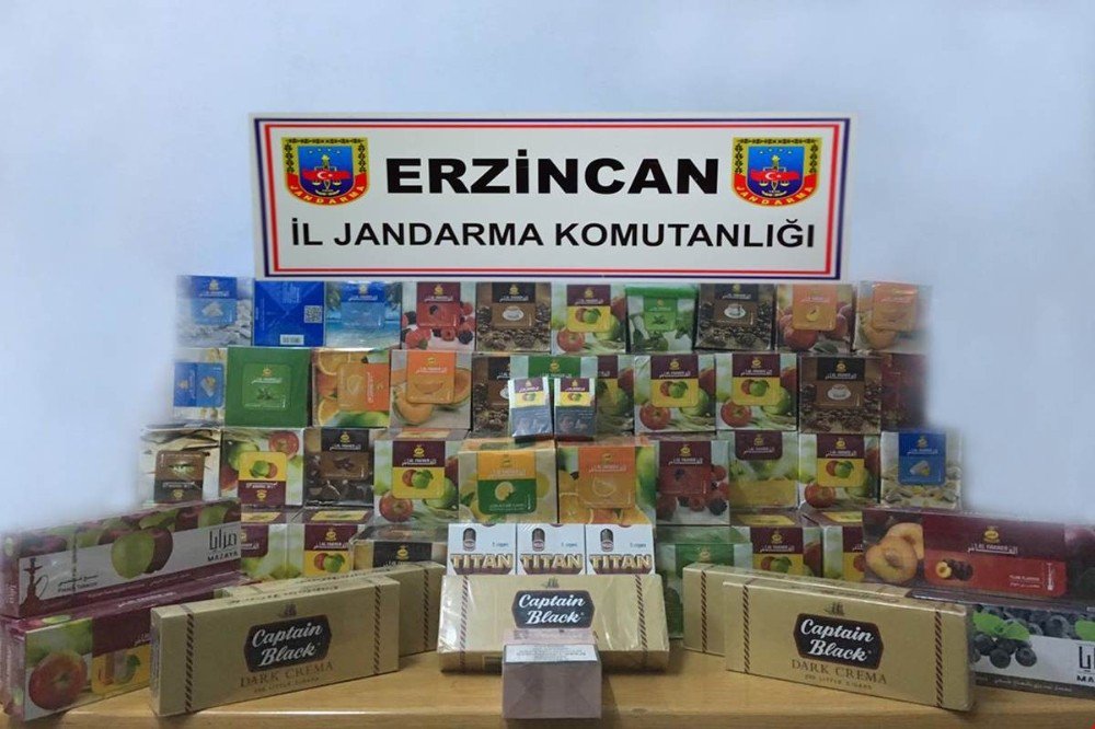 Erzincan Jandarmadan Huzur Operasyonu