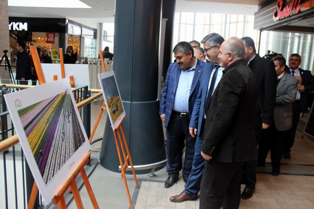 Tarım Ve İnsan’ı Anlatan Fotoğrafların Sergisi Açıldı