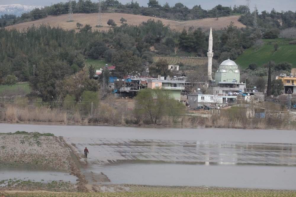 Çakıt Deresi Taştı, Bin Dönüm Tarla Sular Altında