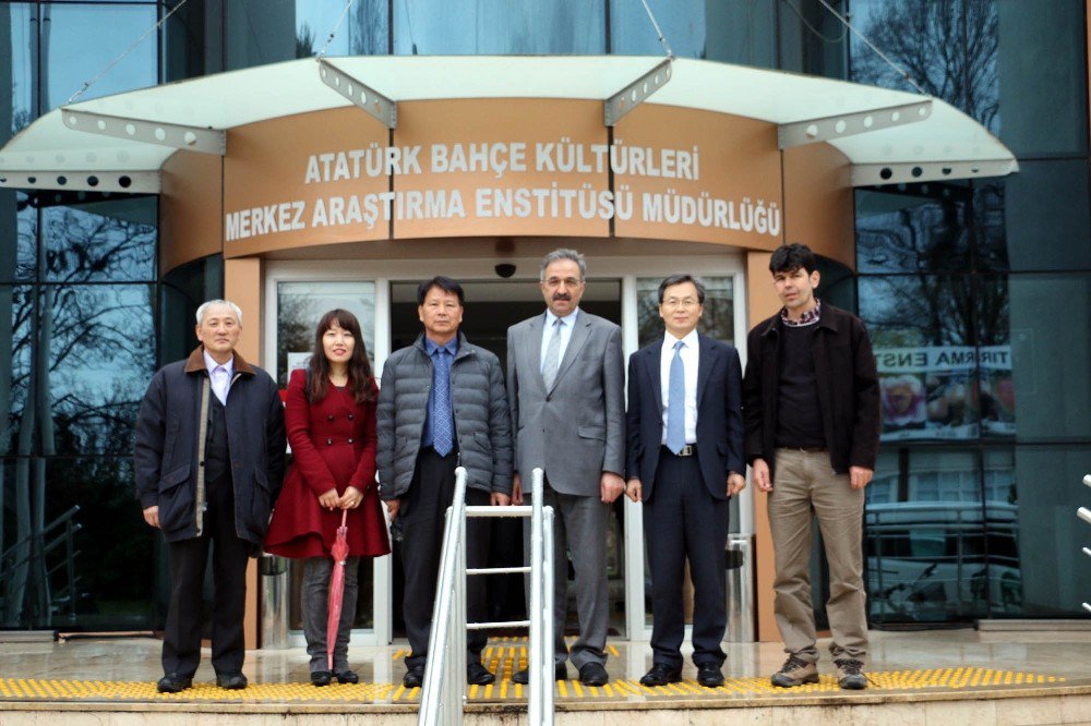 Kore Ve Türkiye’den "Mantar" İş Birliği