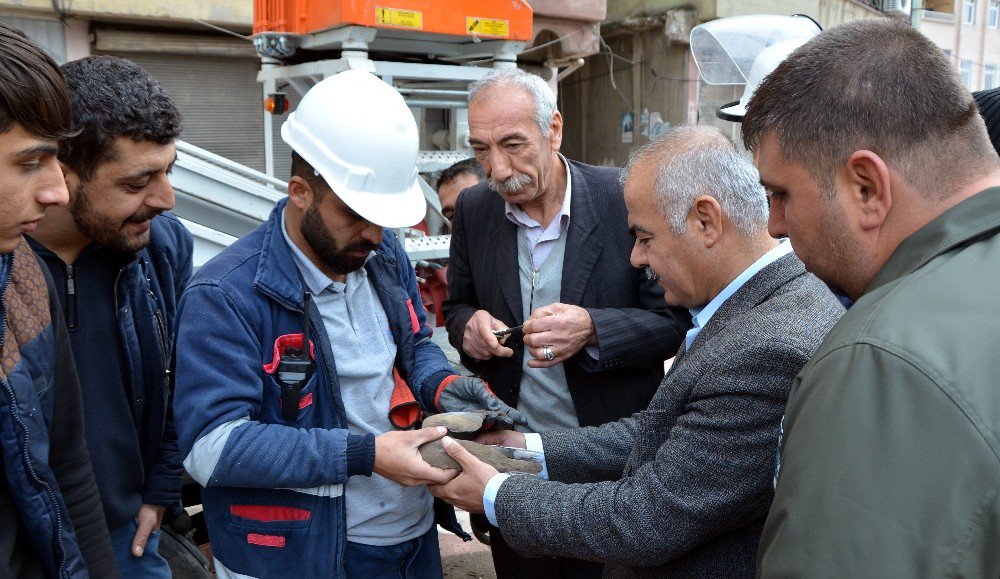 Elektrik Tellerine Asılı Kalan Kuş Kurtarıldı