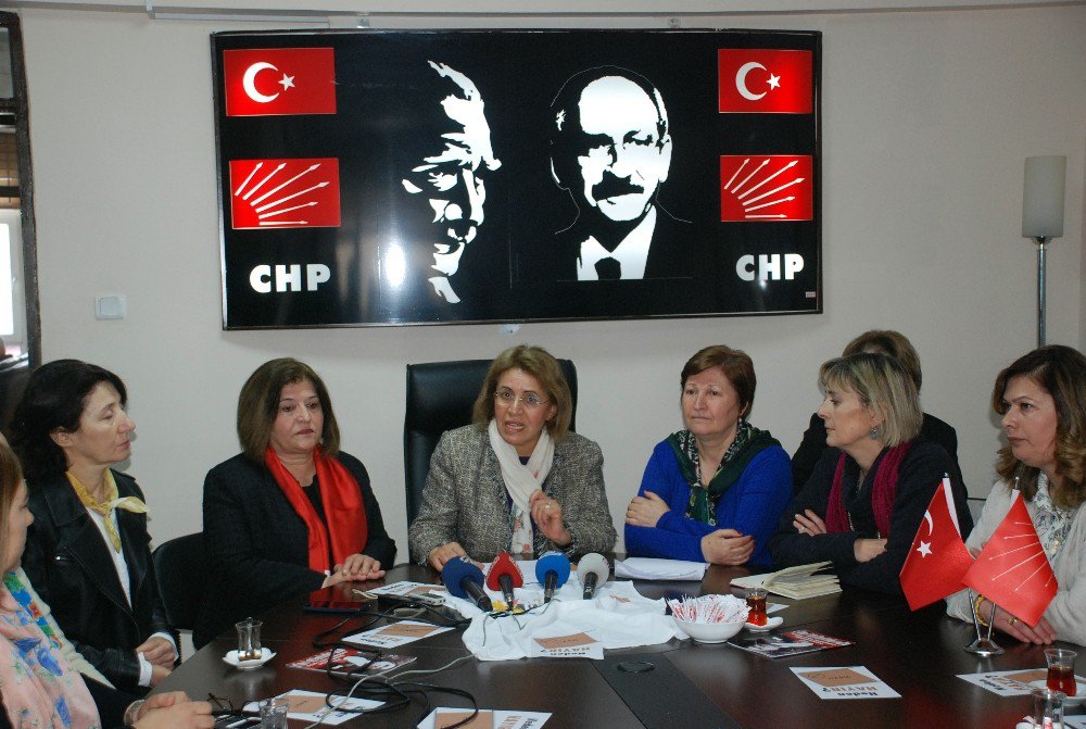 Chp’li Kadınlardan, Bakan Kaya’ya Destek