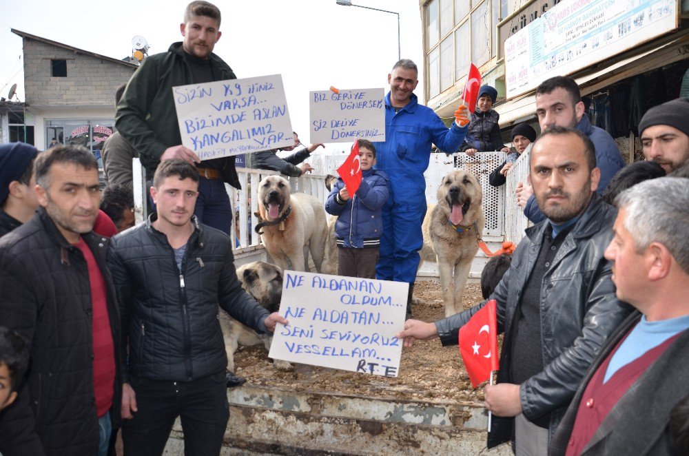 Hollanda’ya ‘Kangallı’ Tepki