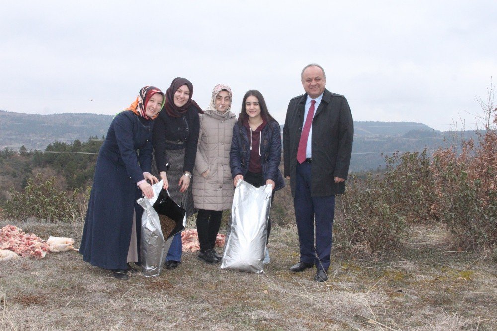 Başkan Babaş, Yaban Hayvanları İçin Ormana Yem Bıraktı