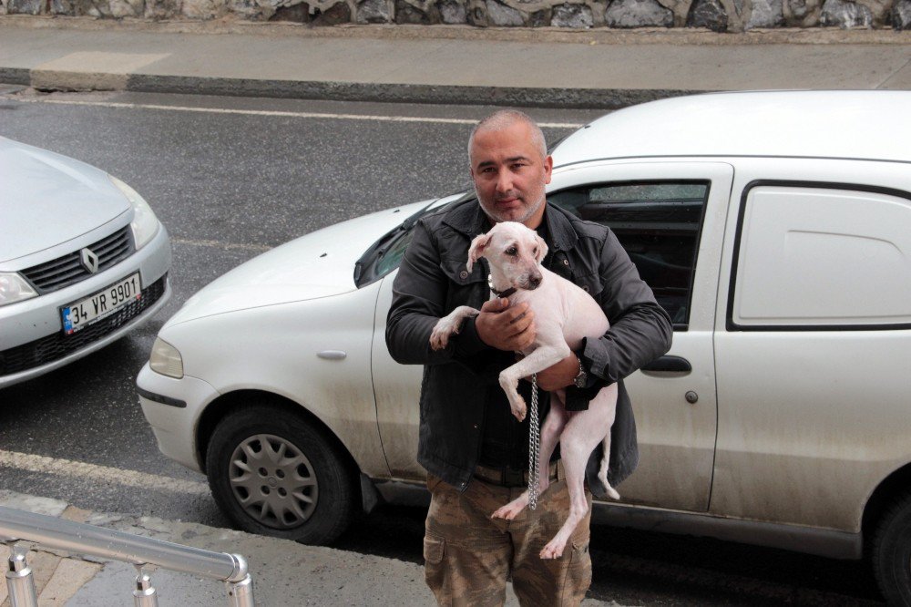 Konteynırda Bulunan Köpeğin Sağlık Durumu İyi