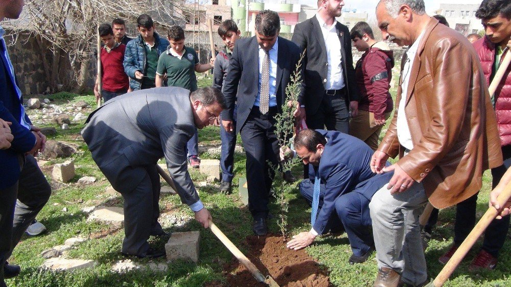 Viranşehir’de Fidan Dikme Kampanyası