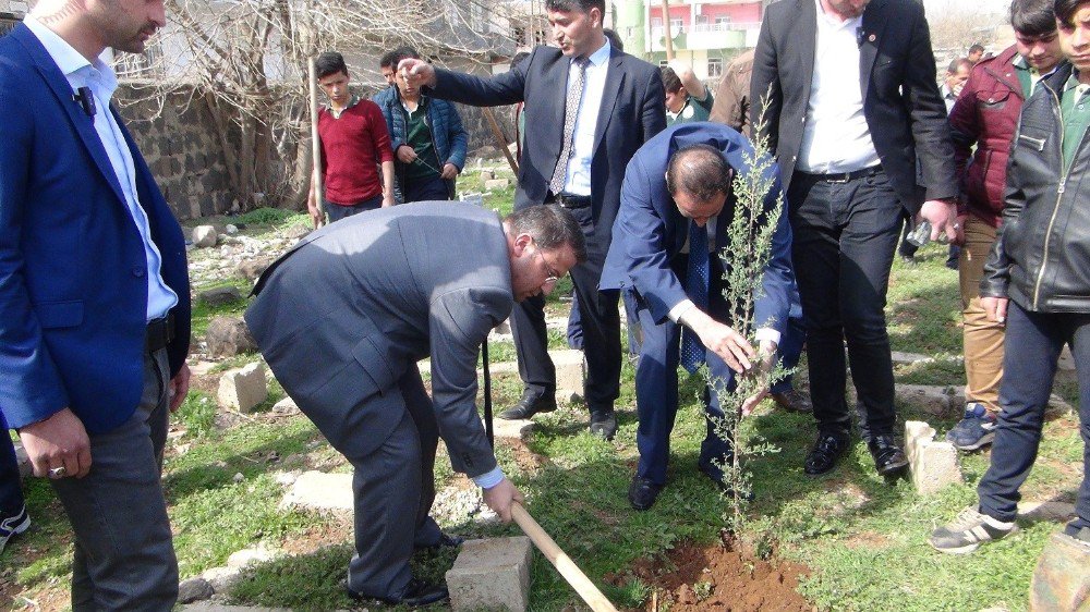 Viranşehir’de Fidan Dikme Kampanyası