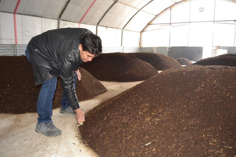 Marakla Başladığı Meslekte Marka Oldu