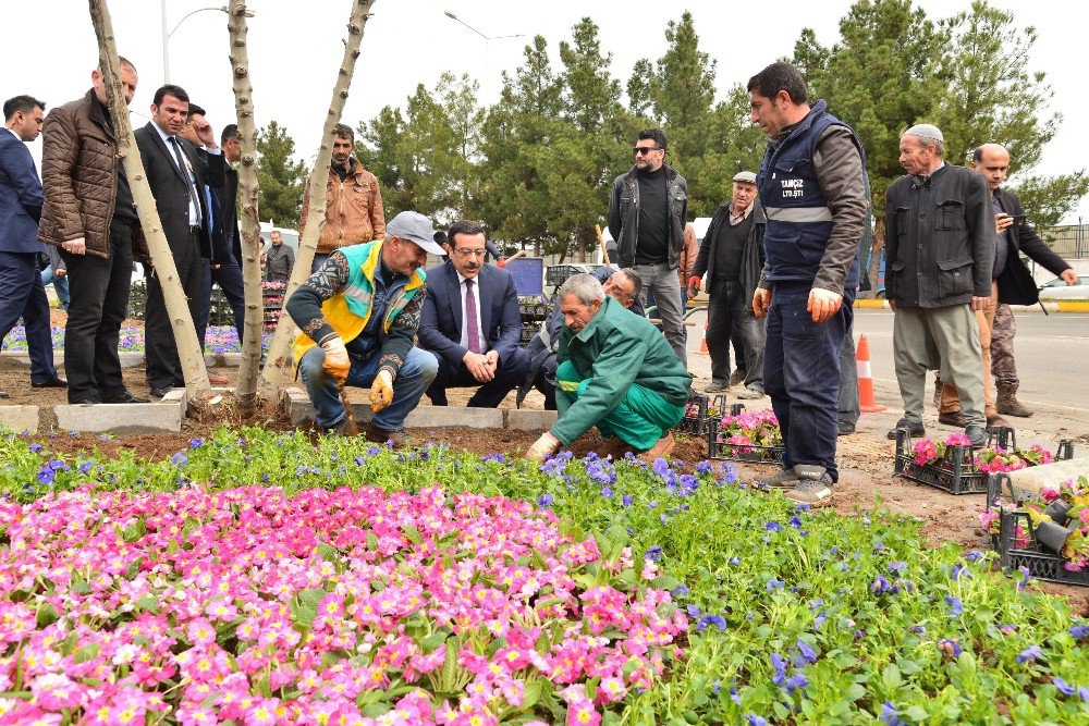 Başkan Atilla, Çanakkale Şehitleri İçin Yapılan Çalışmaları Denetledi