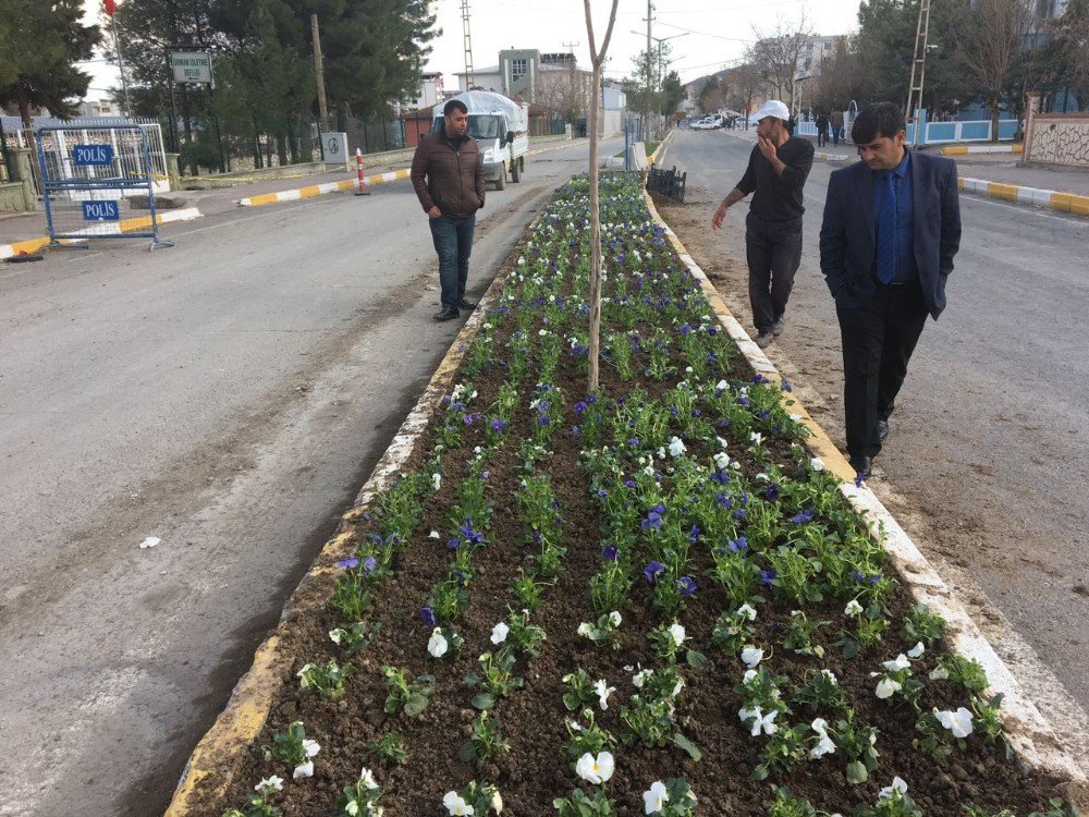 Hani’de Yeşillendirme Atağı