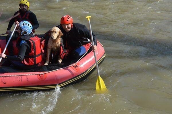 Rafting Keyfine Davetsiz Misafir