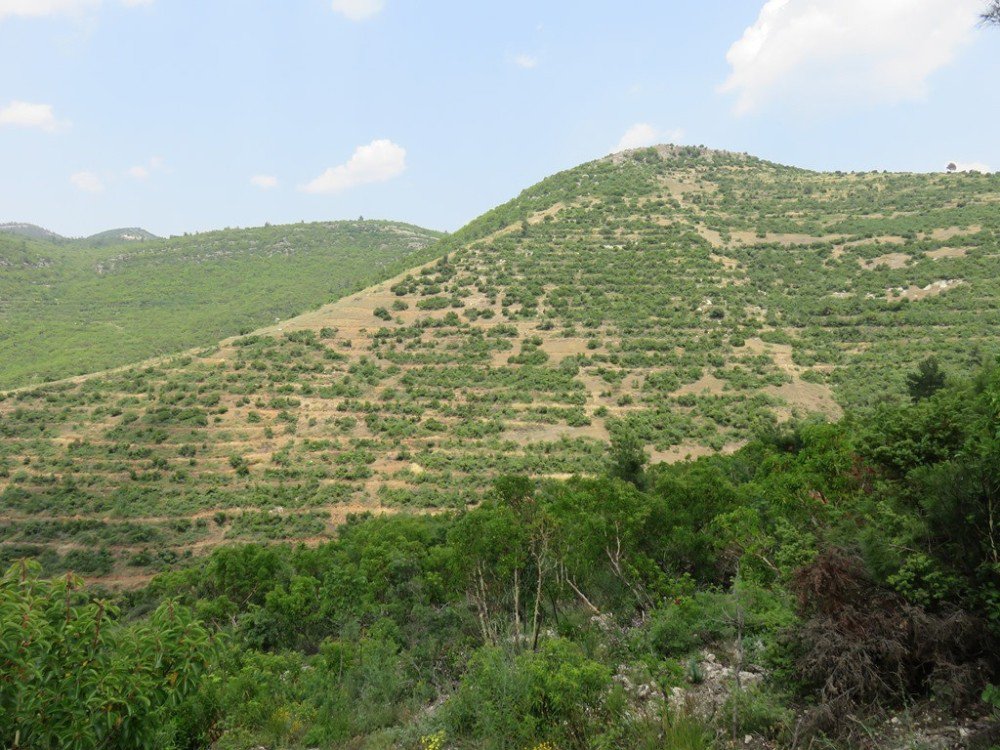 Orman Ve Su İşleri Bakanlığı Antalya’da 5 Milyon 992 Bin Adet Fidanı Toprakla Buluşturdu