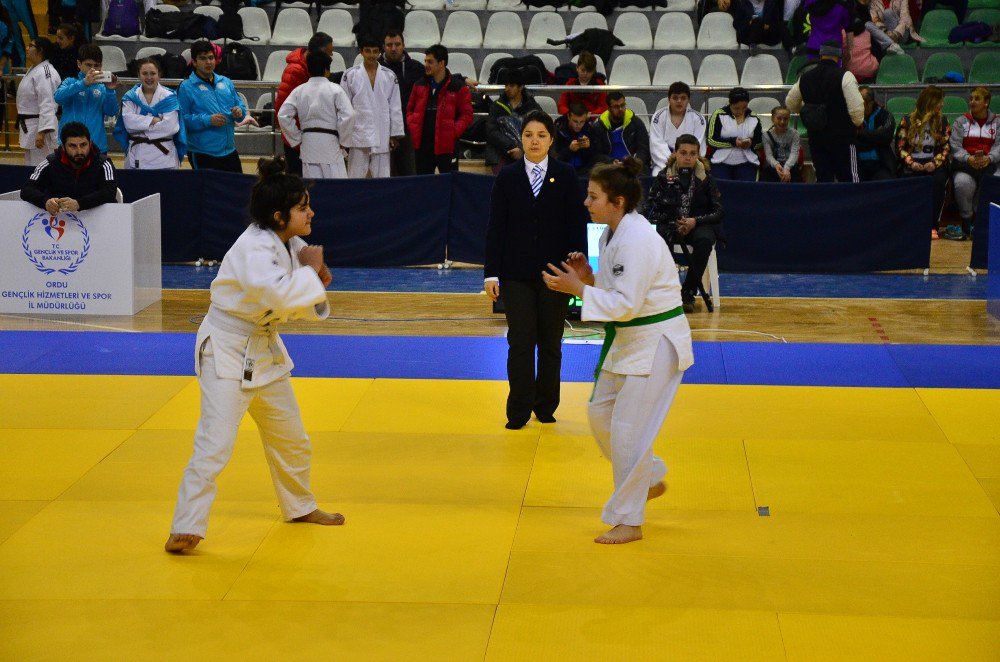 Anadolu Yıldızlar Ligi Judo Şampiyonası Sona Erdi