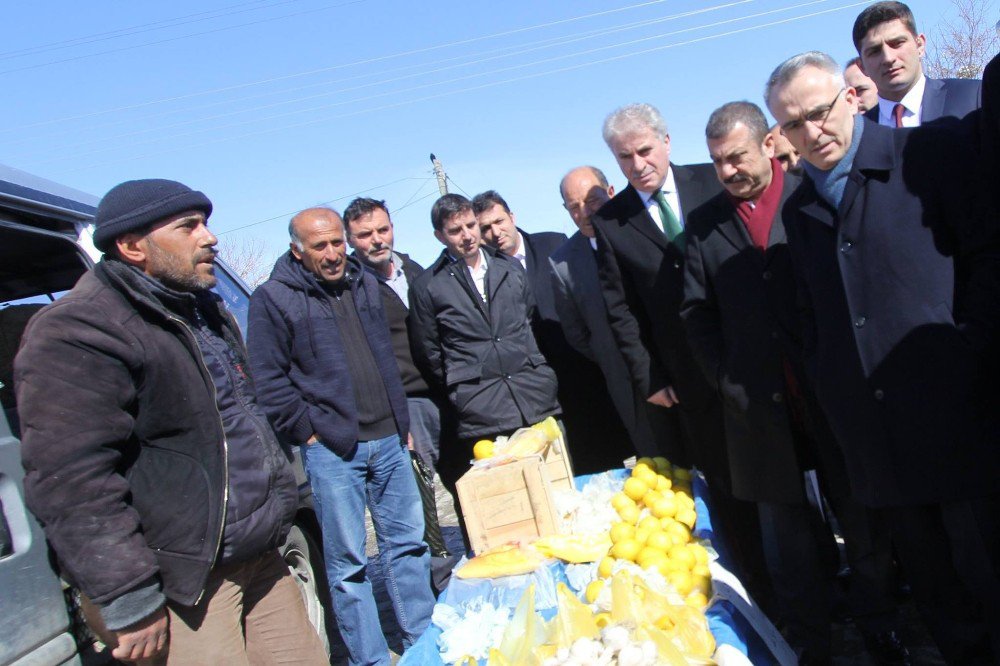 Bakan Ağbal, Bayburt’ta Halk Pazarını Ziyaret Etti