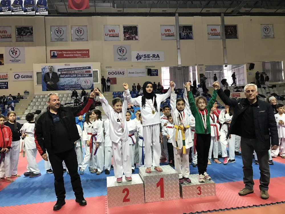 18 Mart Deniz Zaferi Marmara Taekwondo Şampiyonası Düzenlendi