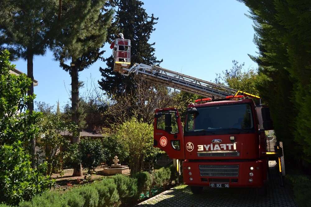 Kaymakamlık Lojmanında Kedi Kurtarma Operasyonu