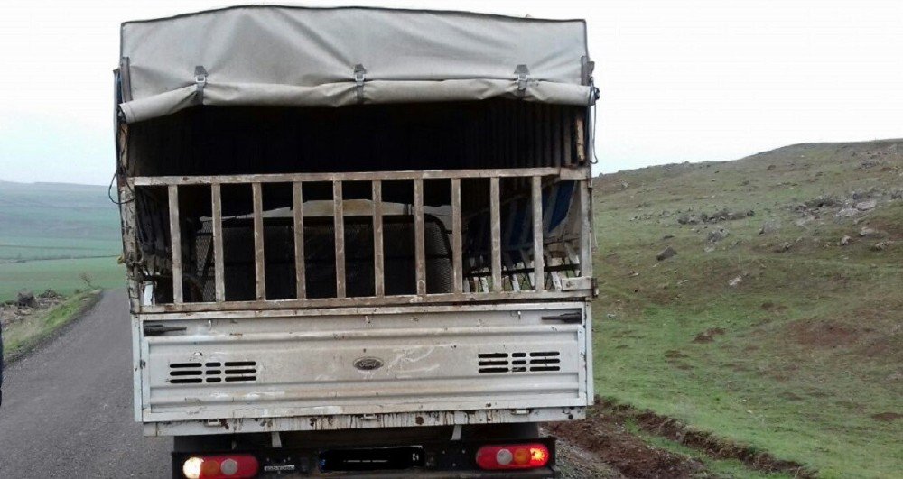 Eskortlu, Hayvan Hırsızları Yakalandı