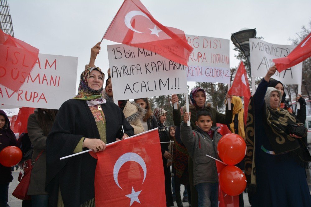 Tatvanlı Kadınlardan Hollanda’ya Tepki