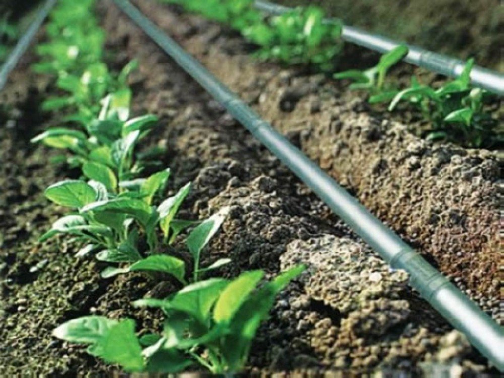 Erzincan’da 56 Çiftçi Hibe Almaya Hak Kazandı