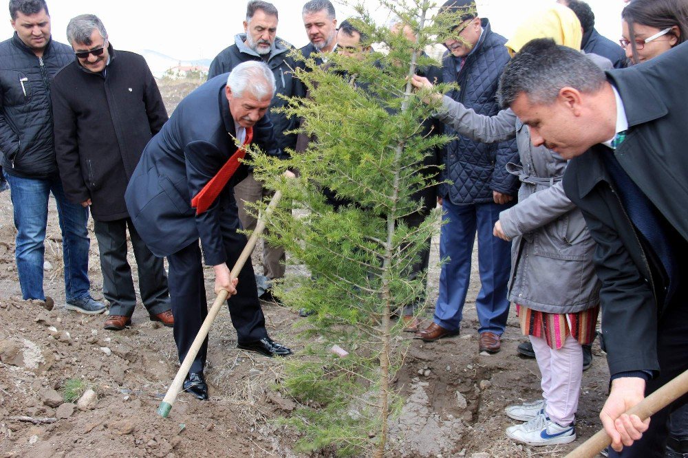 Orman Haftası’nda 12 Bin Fidan Dikildi