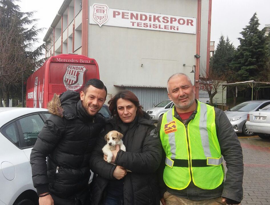 Yaralı Halde Bulunan Köpek Ve Yavrularına Futbolcular Sahip Çıktı