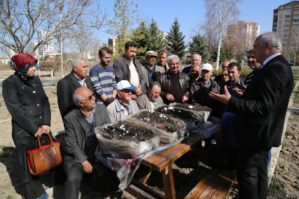 Melikgazi’de Kültür Mantarı Yetiştiriciliği Kursları Başladı