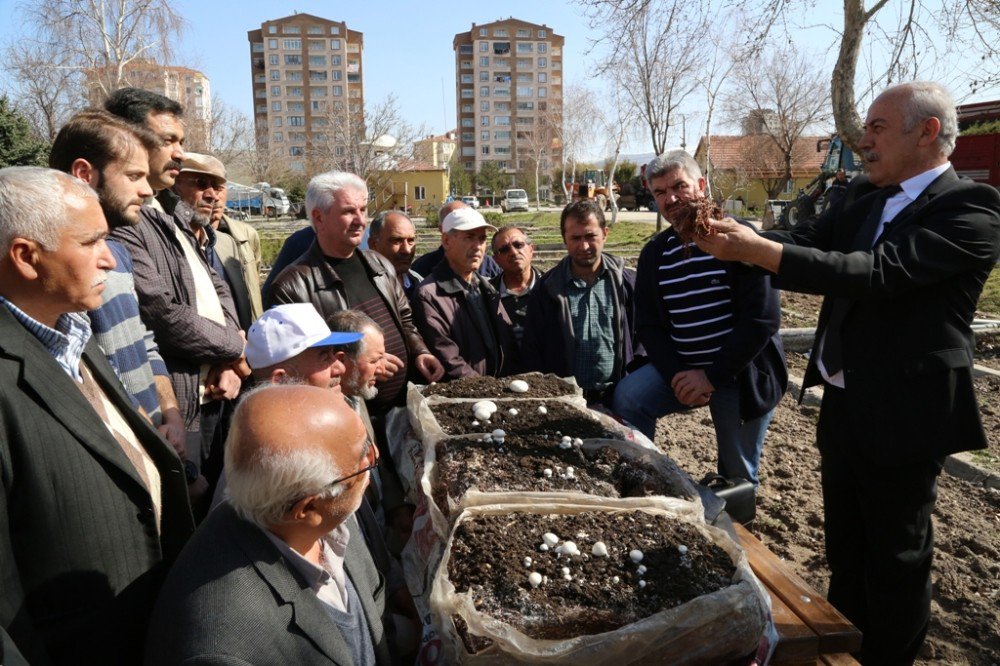 Melikgazi’de Kültür Mantarı Yetiştiriciliği Kursları Başladı