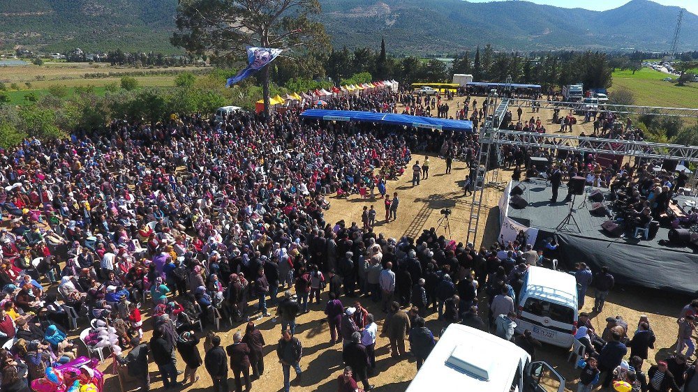 Silifke’de Çağla Festivali