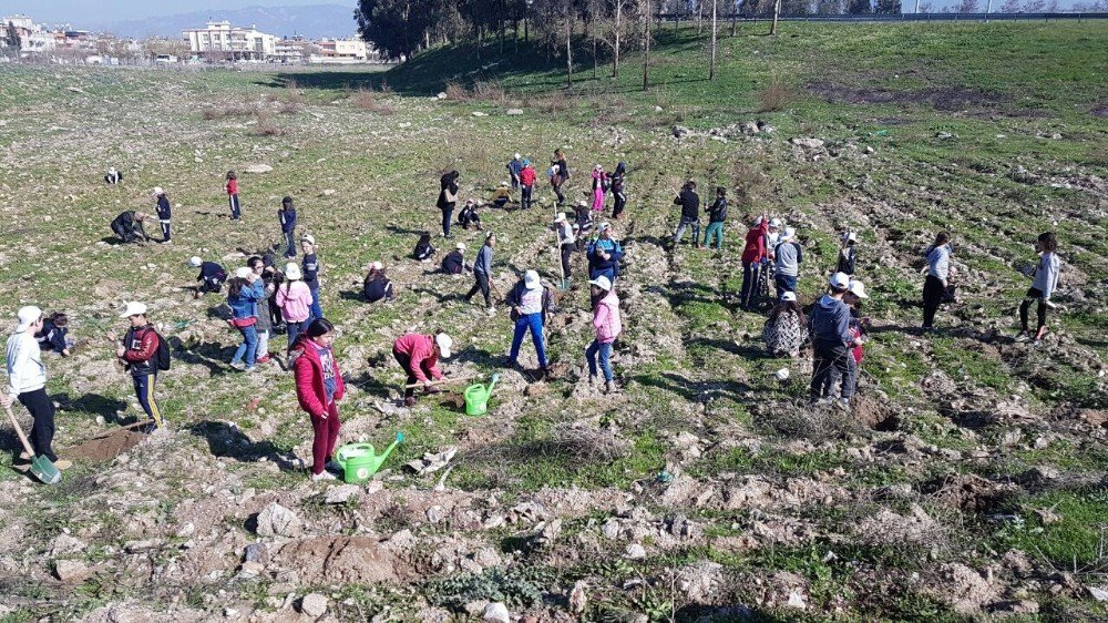 Aydın’da Yeşile 4500 Fidanlık Katkı