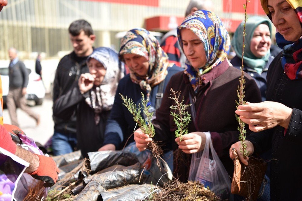 Çan’da Binlerce Fidan Dağıtıldı