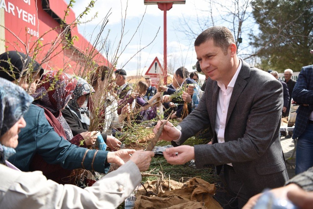 Çan’da Binlerce Fidan Dağıtıldı