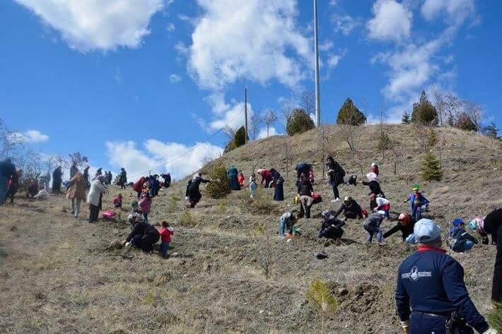 Sungurlu’da Minik Öğrenciler Fidan Dikti