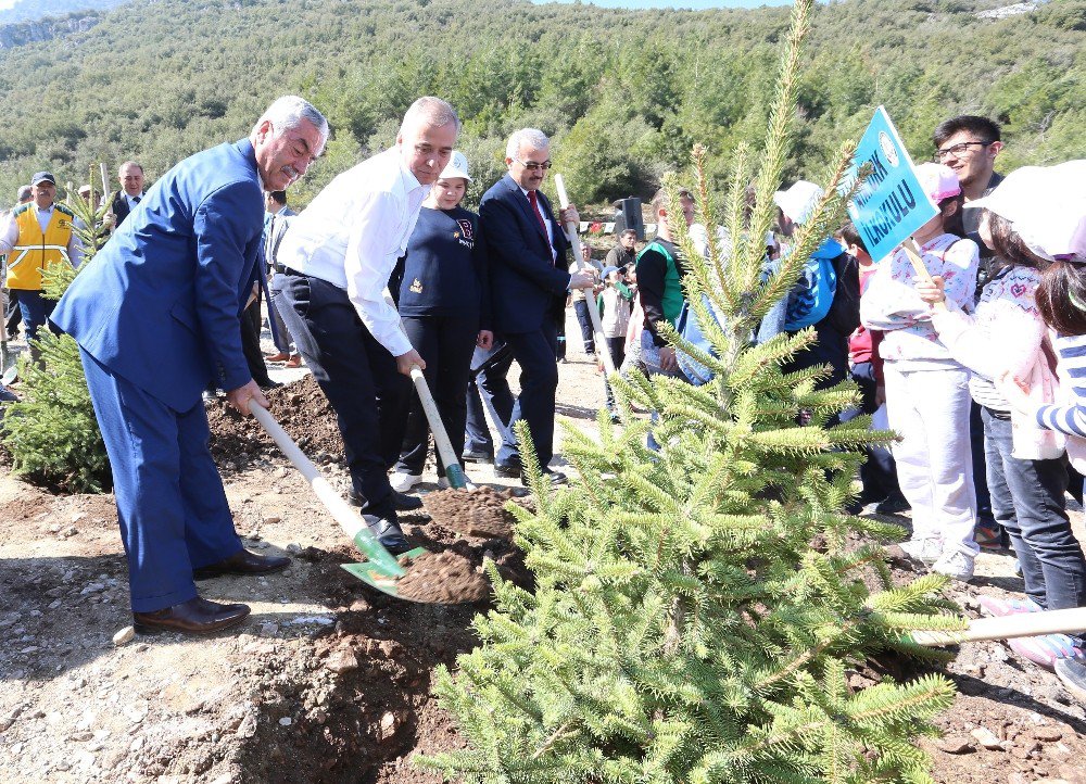 Fidanlar Toprakla Buluştu