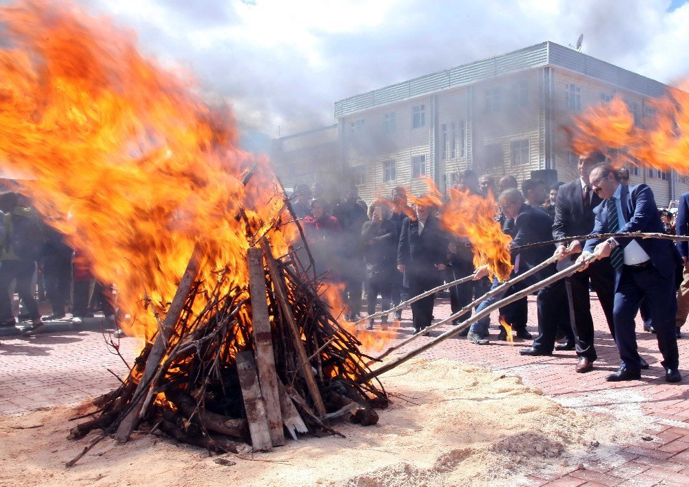 Gaün’de Coşkulu Nevruz Kutlaması