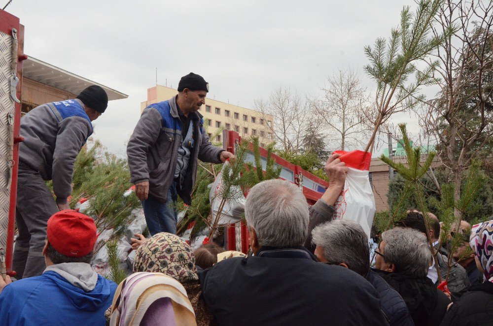 Orman Bölge Müdürlüğü’nden 6 Bin Fidan