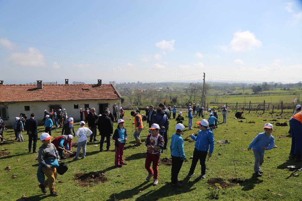 Atakum’da Fidan Dikimi